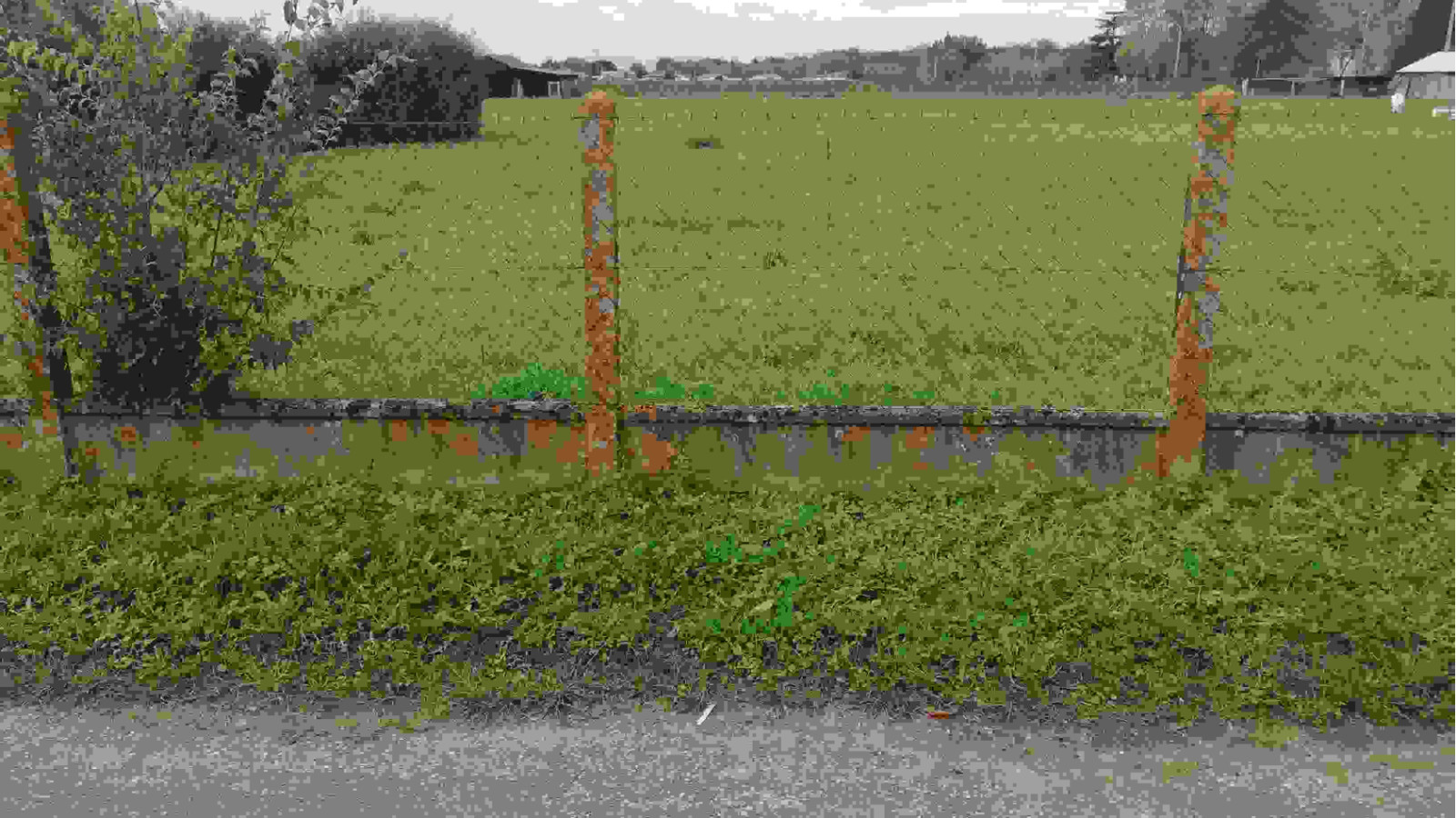 Terrain constructible de 600m2 à Cadaujac