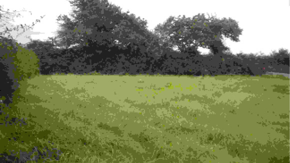 terrain004.jpg