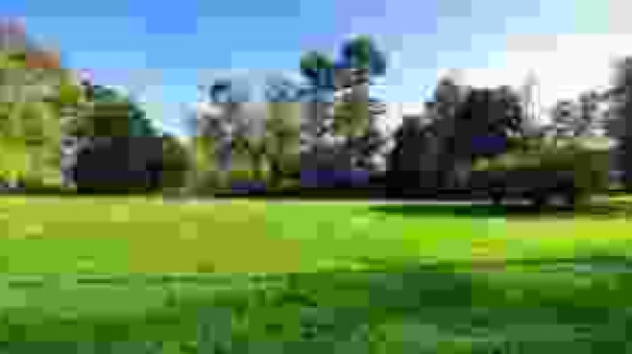 index.jpg
