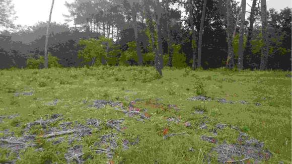 photos terrains Escources.JPG