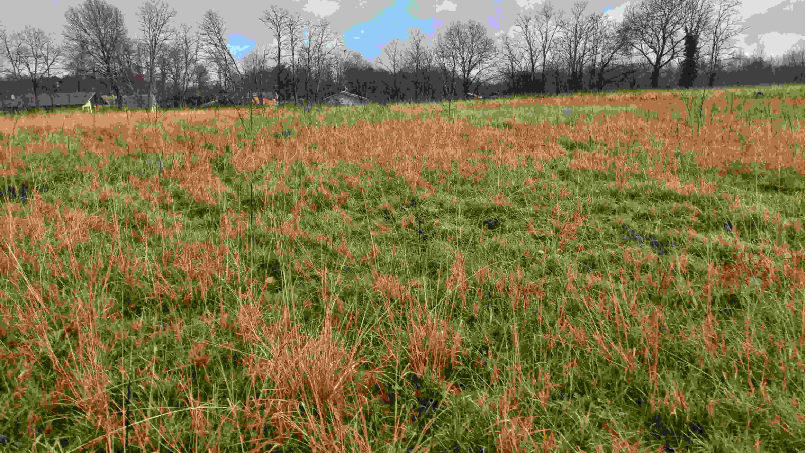 Terrain constructible de 500m2 à Saint-Paul-lès-Dax