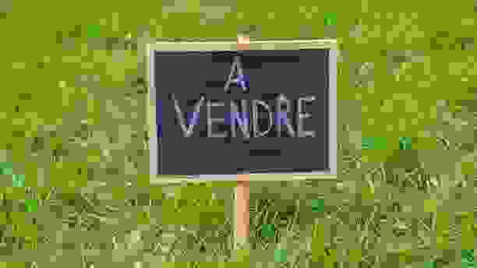 Terrain constructible de 1321m2 à Vélines