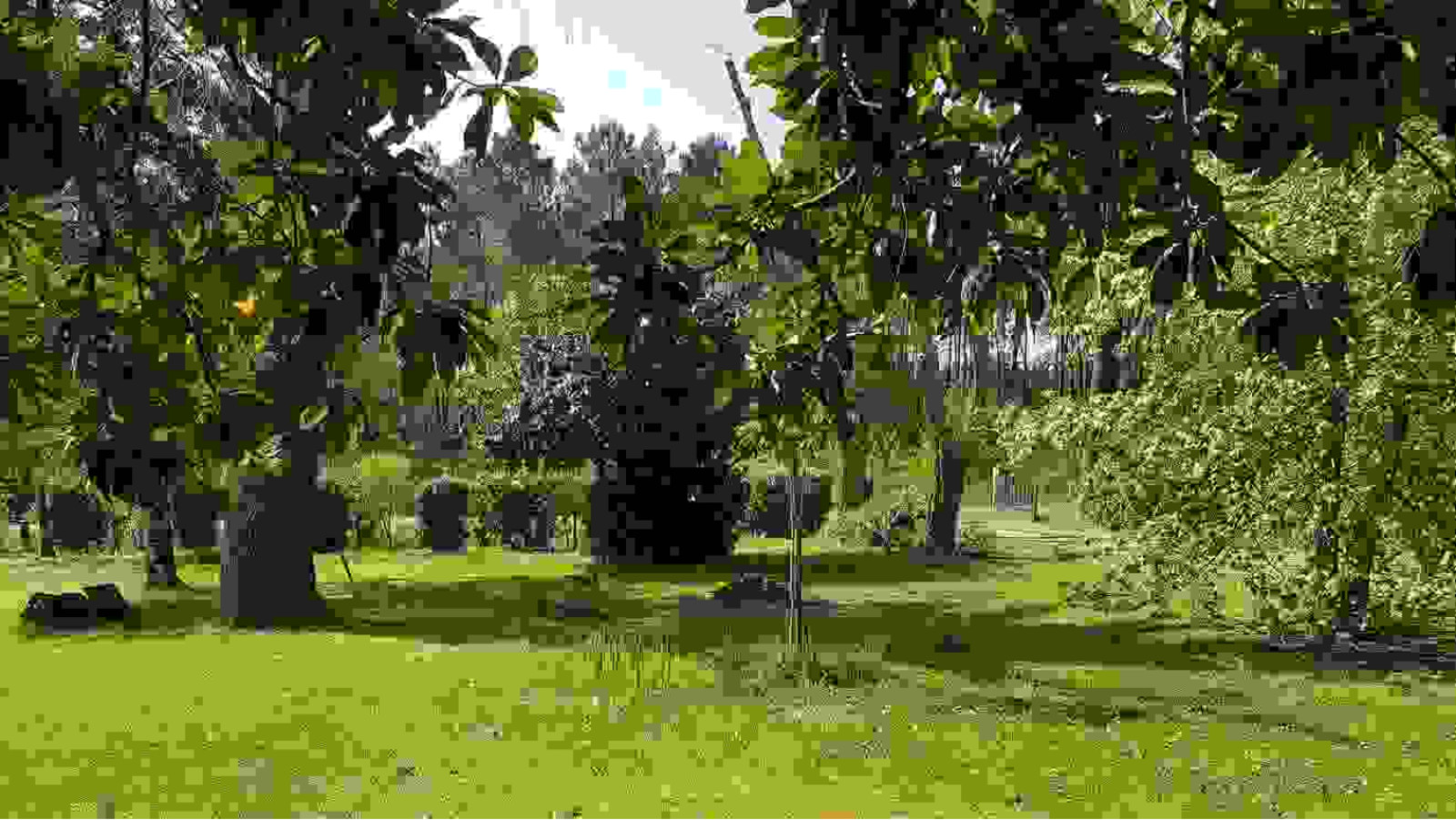 Terrain constructible de 600m2 à Parentis-en-Born