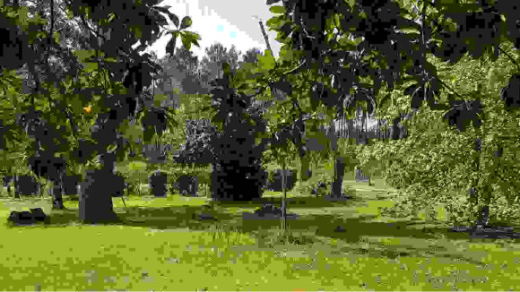 Terrain Pontenx les Forges.jpg