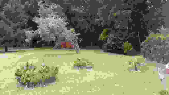TERRAIN LOT C.jpg