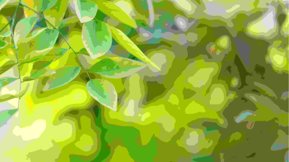 green-leaf-in-the-forest.jpg