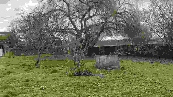 photo 3.jpg