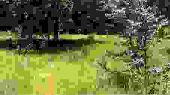 TERRAIN ORIGNE 86 000.jpg