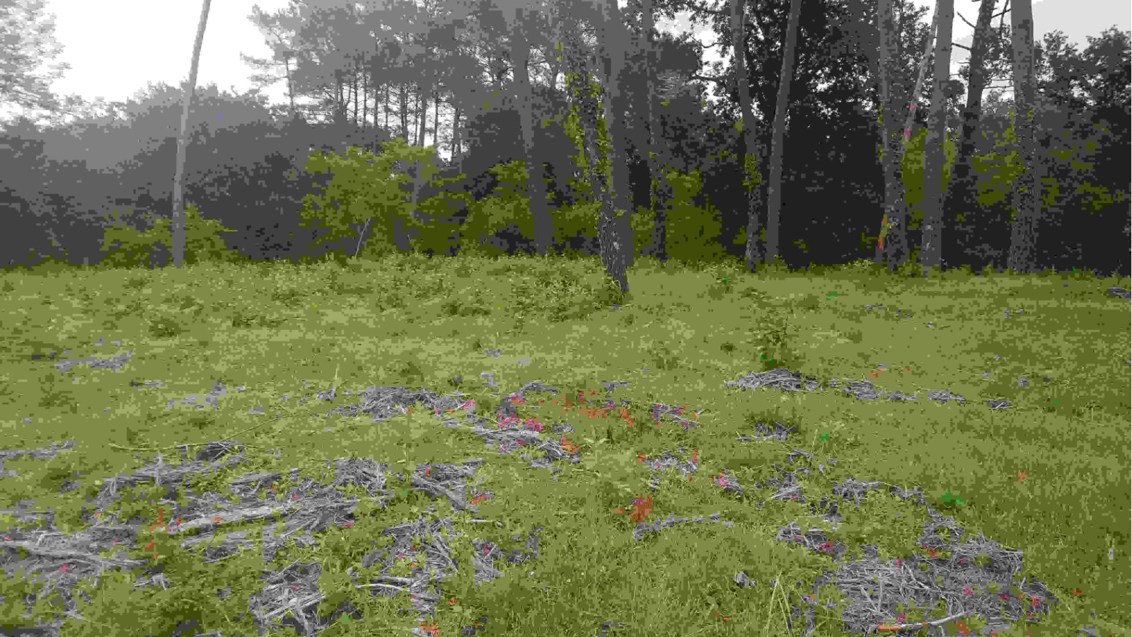 Terrain constructible de 2696m2 à Saugnac-et-Muret
