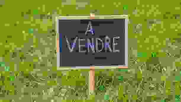 Terrain à vendre.jpg