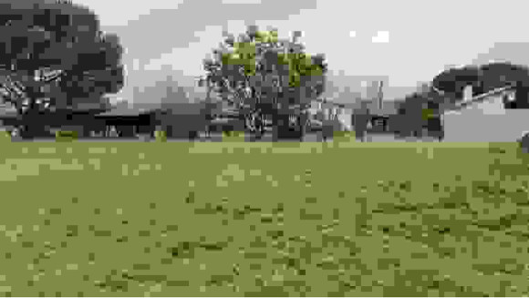 Terrain 3.jpeg