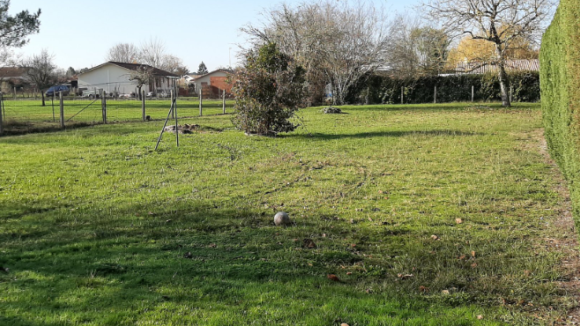 TERRAIN BELIN BELIET 3.png