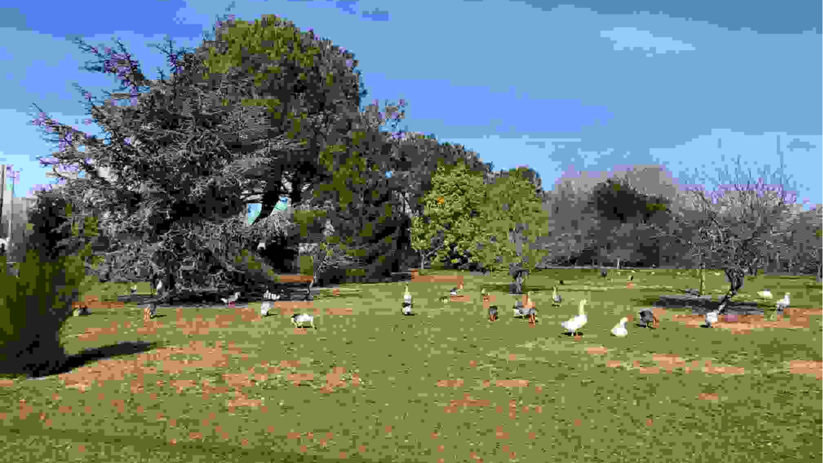 Terrain constructible de 1500m2 à Bégadan