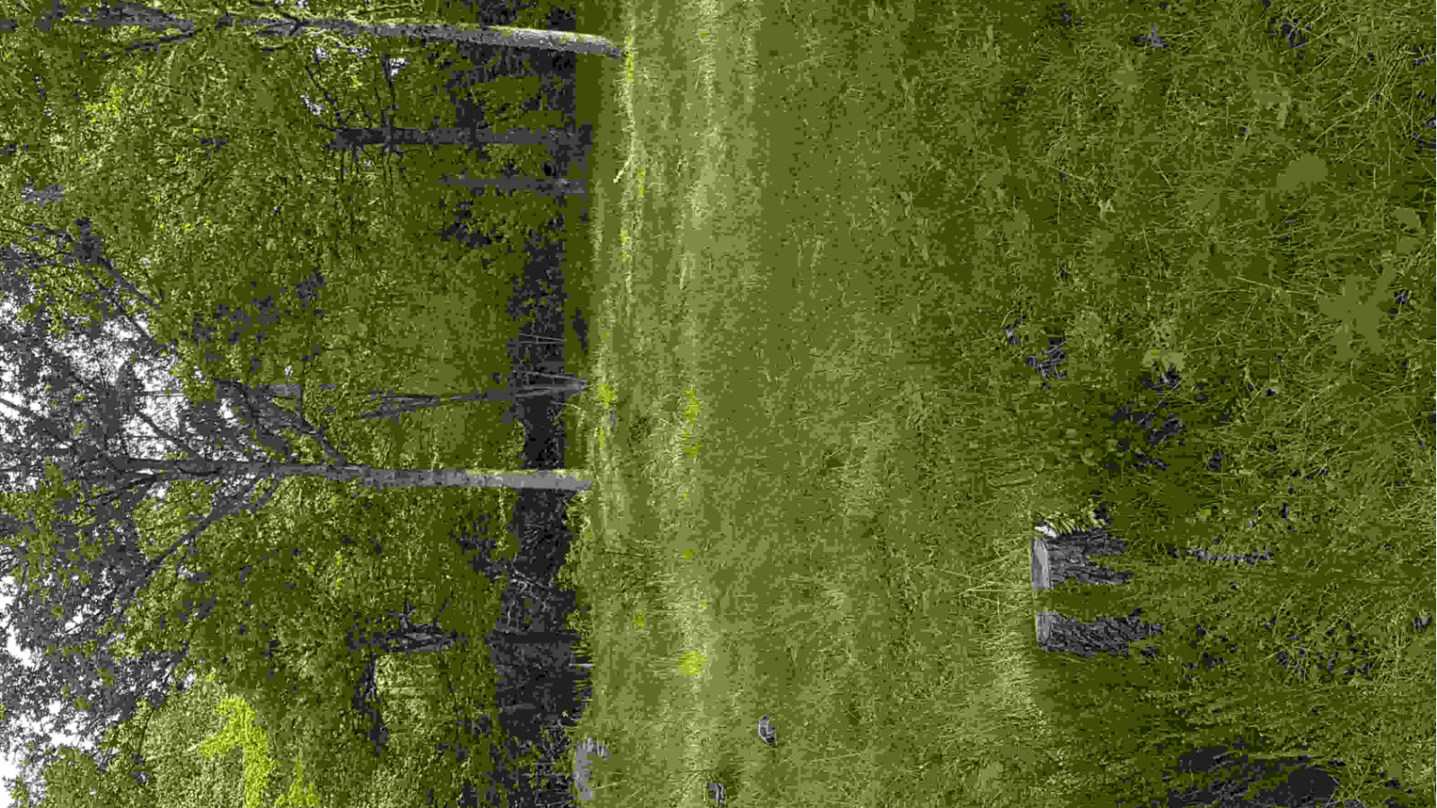 Terrain constructible de 650m2 à Balizac