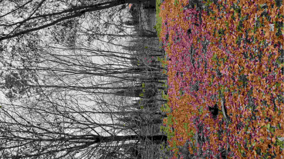 20230124_143443.jpg