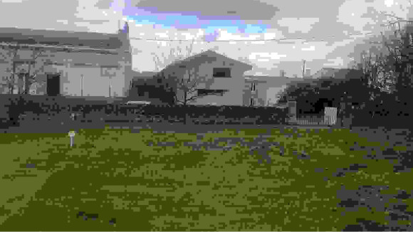 photo 2.jpg