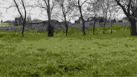 terrain saint seurin de cadourne.jpg