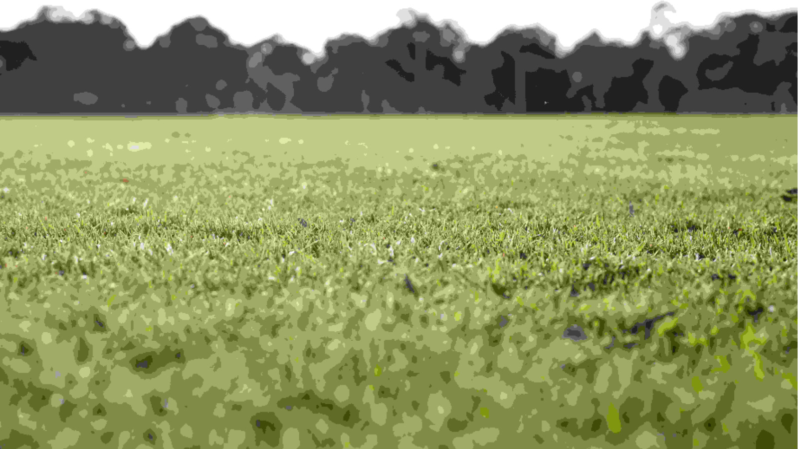 Terrain constructible de 688m2 à Labouheyre
