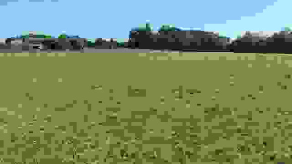 SEYRESSE 3.jpg
