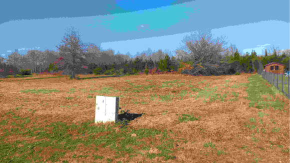 20220205_133111.jpg