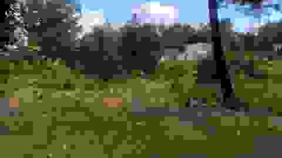 PHOTO OK.jpg
