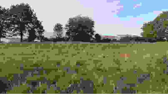 terrain001.jpg