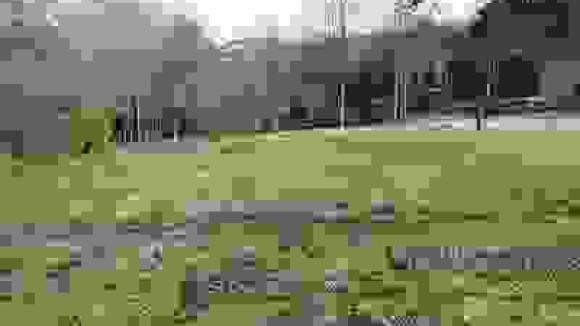 photo annonce.jpg