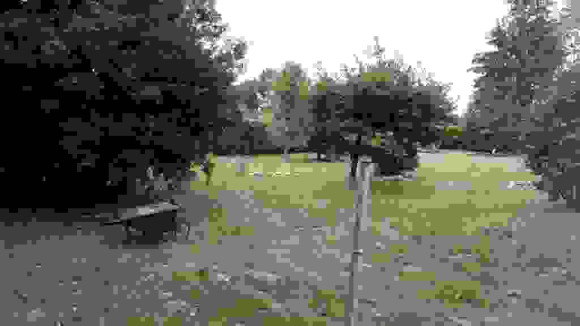 TERRAIN LOT D.jpg