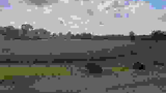 Terrain plat viabilisé.jpg