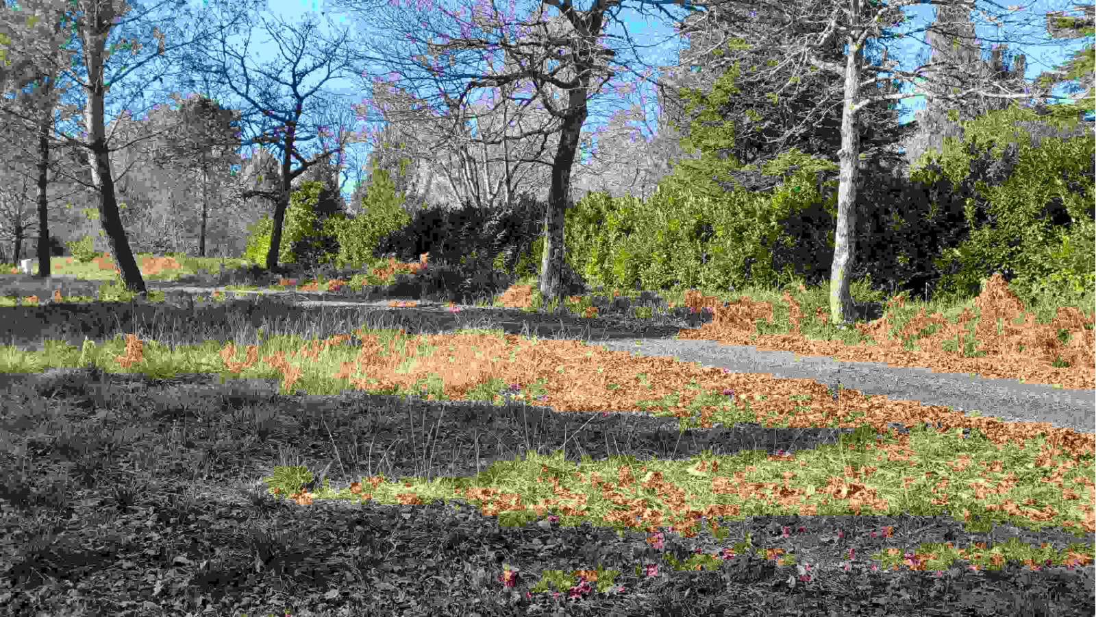 Terrain constructible de 800m2 à Moliets-et-Maa
