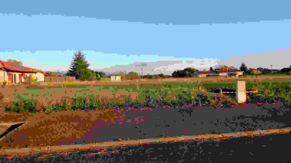 19ds6c9kcp19dg9gjvbwhs947x4e209b7pw4x92l0.jpg