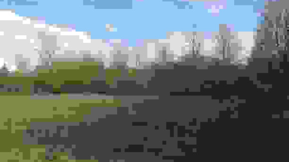 terrain 1.jpg