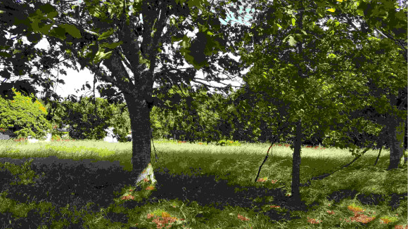 TERRAIN SALLES CENTRE.jpg