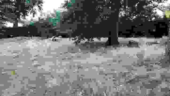 TERRAIN LE BARP.jpg