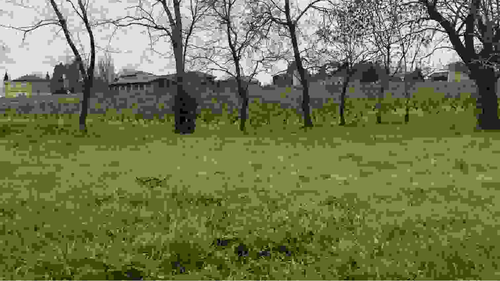 Terrain constructible de 800m2 à Civrac-en-Médoc