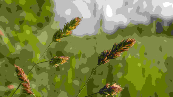 terrain nu2.jpg