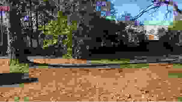 TERRAIN MIMIZAN GUY HOQUET.jpg