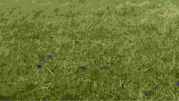 terrain lacanau bru et fils.jpg