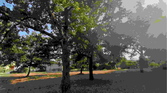 20220721_183401.jpg