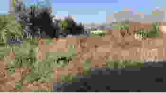 unnamed.jpg
